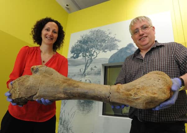 Humans in Ancient Britain exhibition at Tring Natural History Museum.
 A 200,000 year old mammoth leg bone photographed with Alice Adams of Tring museum and Mike Palmer of Bucks County Museum