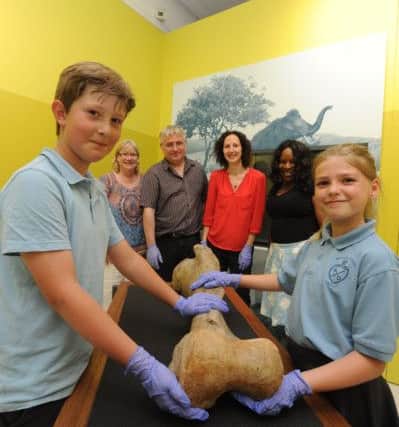 Humans in Ancient Britain exhibition at Tring Natural History Museum.
 A 200,000 year old mammoth leg bone pictured with Evie Macaulay and Joe Childs, both 10, of Bishop Wood School, Tring