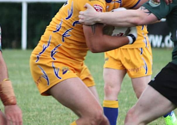 Hemel Stags