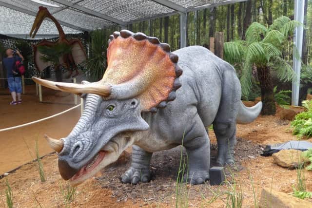 The Triceratops at the Zoorassic Park experience at Whipsnade Zoo this summer Picture copyright Heather Jan Brunt