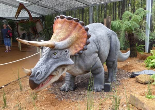 The Triceratops at the Zoorassic Park experience at Whipsnade Zoo this summer                                                                                                                                                                                                                                                                 Picture copyright Heather Jan Brunt