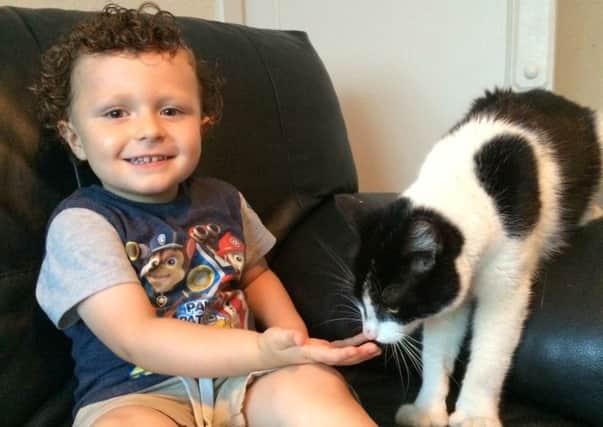 Jacob Bending, three, with his cat Chester