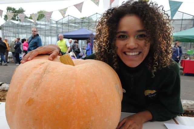Hemel Food Garden Festival on Saturday