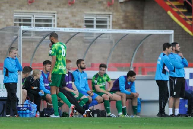 The Hemel bench at Cheltenham. Picture: Terry Rickeard.