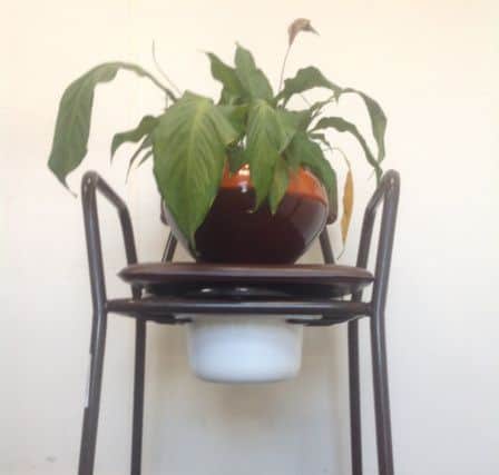 A commode being used as a plant stand