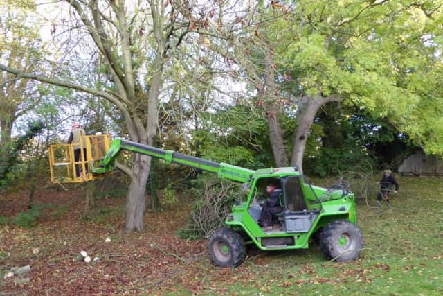 Farming Matters.  Tree work in the garden. Picture copyright Heather Jan Brunt
