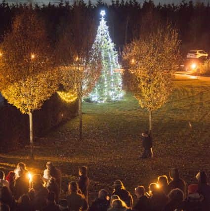 Hospice of St Francis Light Up A Life appeal