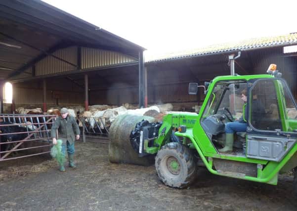 FARMING MATTERS: Feeding on a winter day. Picture copyright Heather Jan Brunt