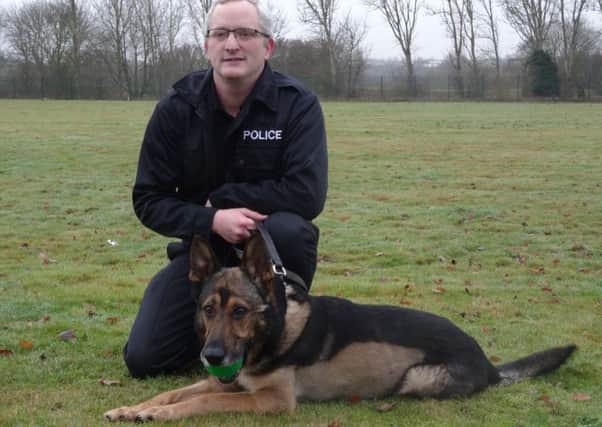 PD Finn