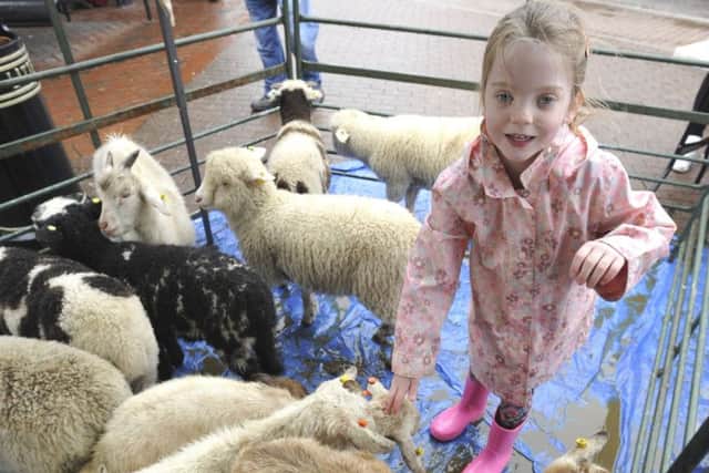Petting zoo at the Spring Fayre launch