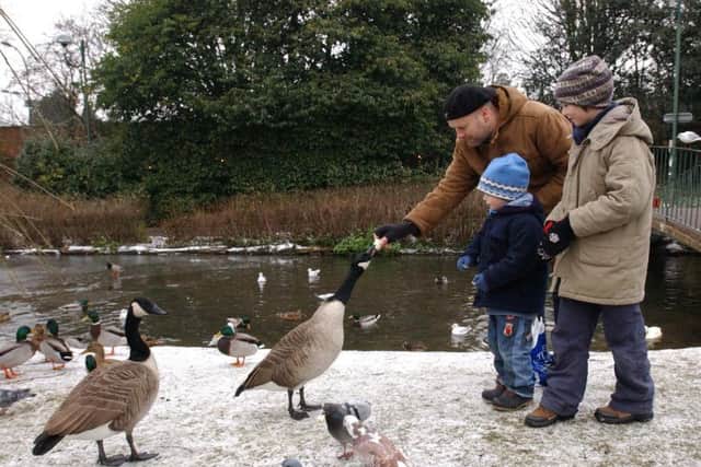 The council is hoping that residents will stop feeding geese in the parks