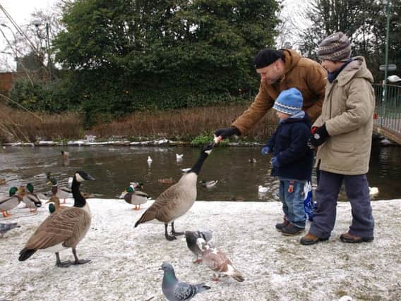 The council is hoping that residents will stop feeding geese in the parks