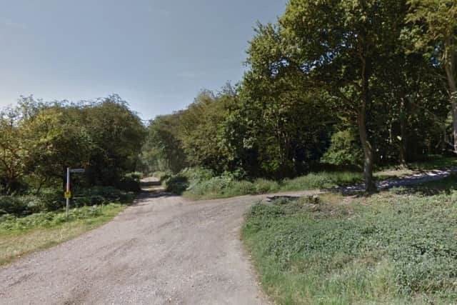 The couple were found at Northchurch Common