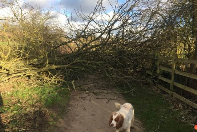 readers pic Michael Greenhalgh storm doris