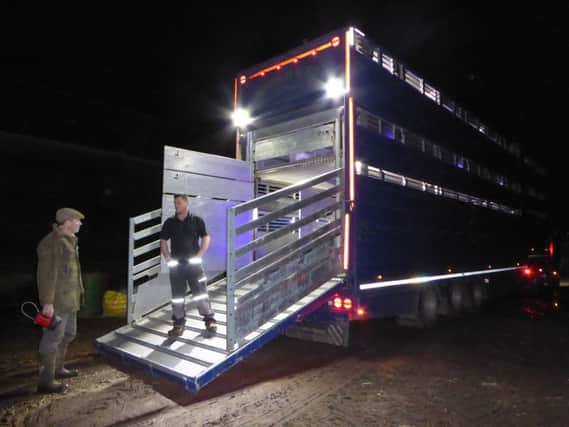 A massive articulated lorry arrived for an overnight stay on the farm. Picture copyright Heather Jan Brunt