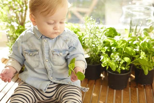 Half of parents resorting to unhealthy food to get children to eat