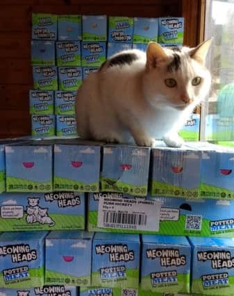 Prince, the RSPCA's longest-serving resident, with some of the catfood
