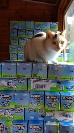 Prince, the RSPCA's longest-serving resident, with some of the catfood