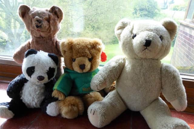 Teddies that will be going on a flight