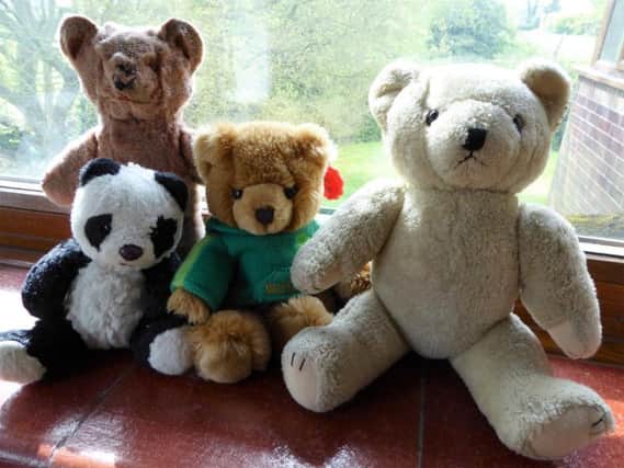 Teddies that will be going on a flight