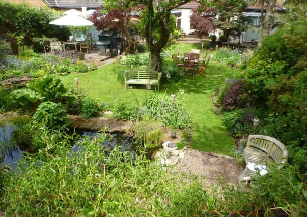 The garden at 43 Mardley Hill, Welwyn