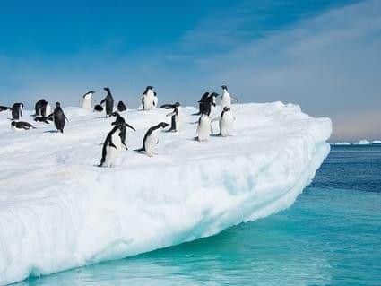 Antarctic
