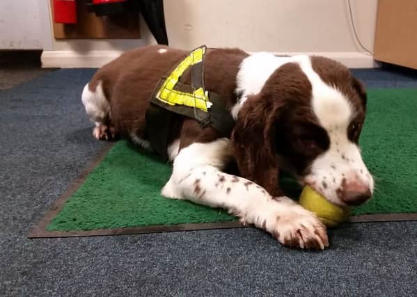 PD Brewster, RIP