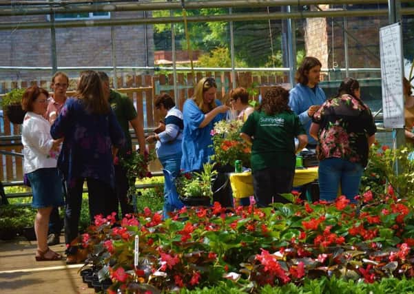 Sunnyside Plant Sale
