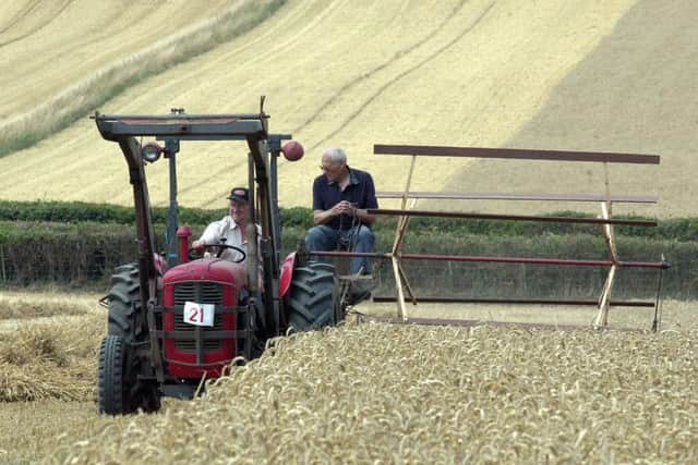 Harveting the old fashioned way when there were many farm labourers employed on the land.