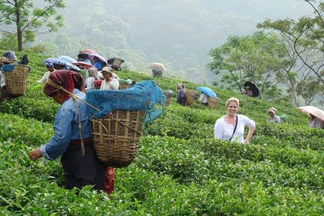 Madeleine Lovett at a tea plantation in India.