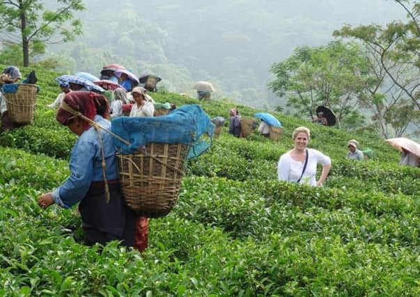 Madeleine Lovett at a tea plantation in India.